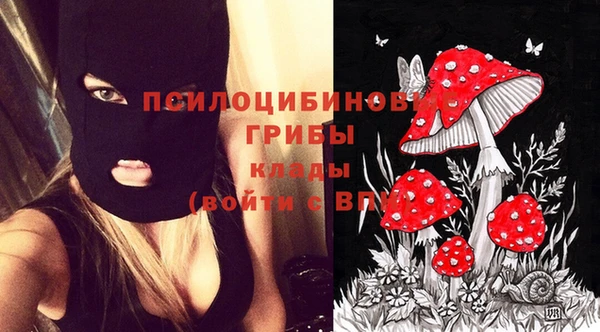 jwh Вяземский
