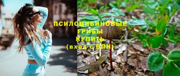 хмурый Волоколамск