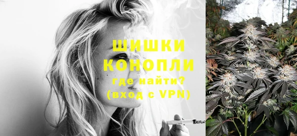 шишки Володарск