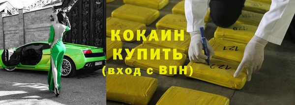 шишки Володарск
