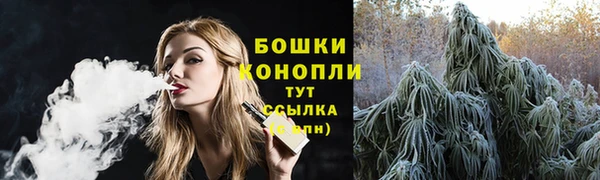 шишки Володарск