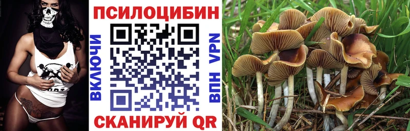 Купить  Пестово  Псилоцибиновые грибы GOLDEN TEACHER 