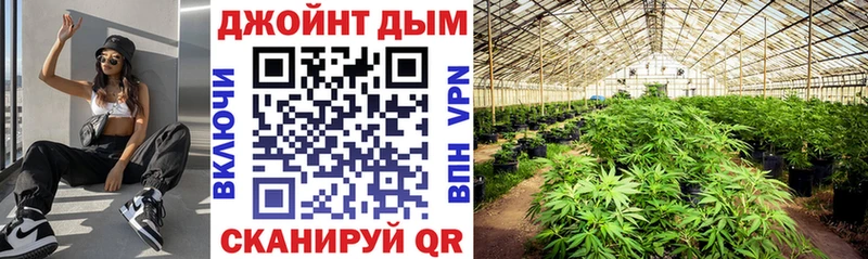 Купить где  Пестово  Бошки Шишки семена 